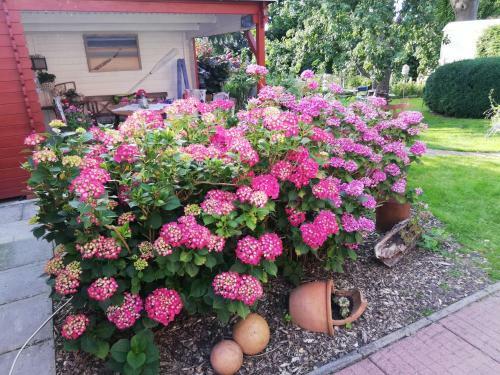 Apartamento Alte Pastorei