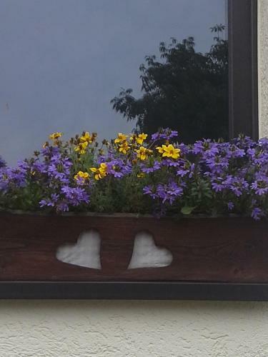 Apartamento Sommerfrische