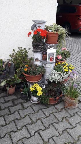 Apartamento Sommerfrische