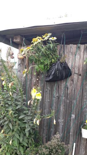 Apartamento Sommerfrische