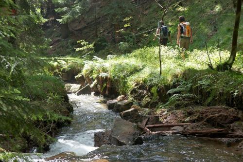 Apartamento Ferienoase Hinterhermsdorf