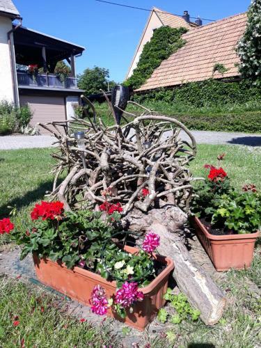 Apartamento Fewo Hoyer