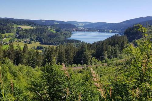 Apartamento Black Forest Schwarzwaldblick Pool Netflix Wifi