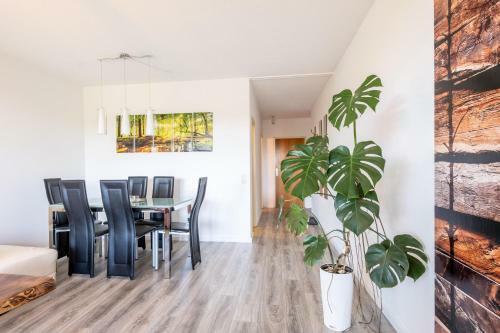 Apartamento Black Forest Schwarzwaldblick Pool Netflix Wifi