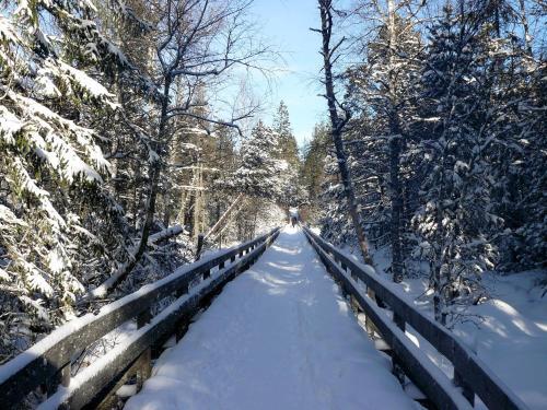 Apartamentos 4 Star Holiday House R�sslewiese