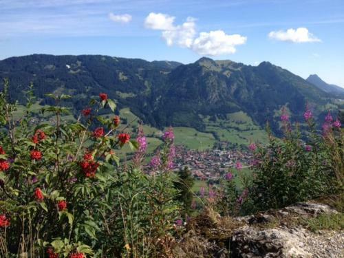 Apartamento Ferienwohnung Holzhey