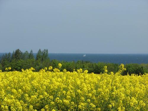 Apartamento Kirchblick An Der Ostsee - Abc277