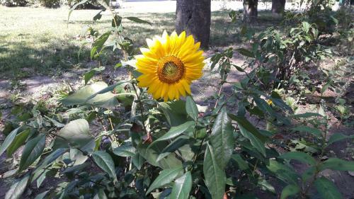 Albergue Ostello Valtrebbia