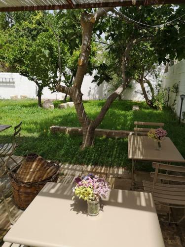 Hostal Casa Frea Dimora Storica