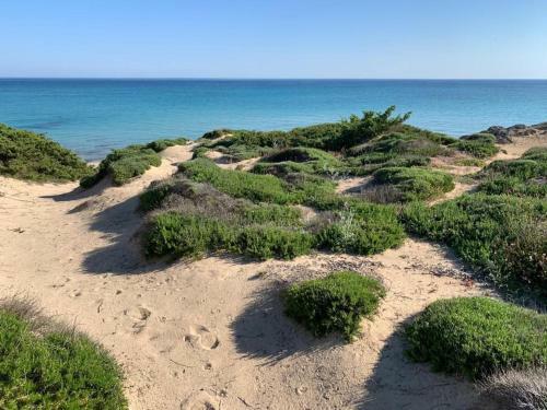 Tenuta Tufo Nel Blu