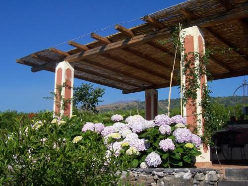 Agroturismo Agriturismo Le Case Di Civi