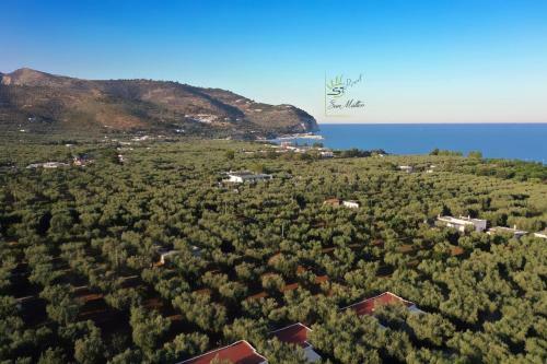 Saracena Holiday Home With Private Beach And Swimming Pool