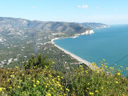 Apartamento Orchidea Mattinata Parco Del Gargano