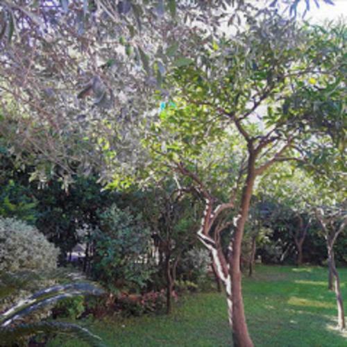 Apartamento C� Bianca Scauri