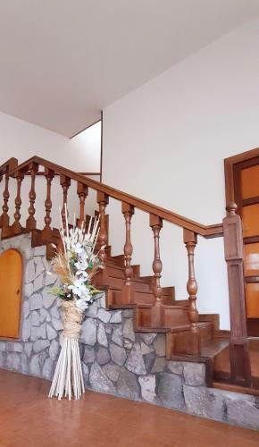 Villa Del Pino