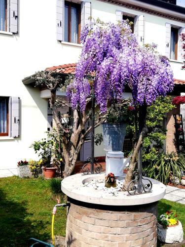 Marina Venice Apartment