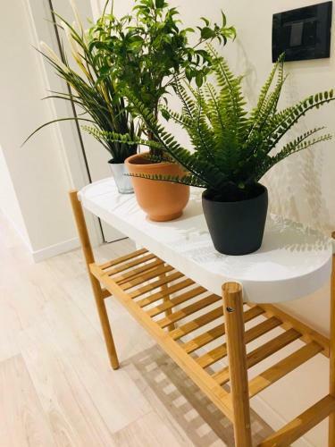 Apartamento Verdi Appartment