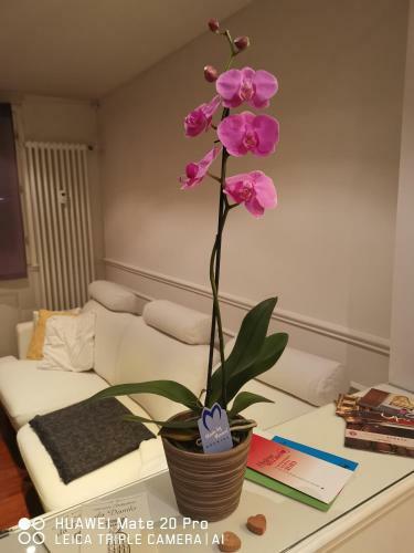 Apartamento Casa Dolce Casa