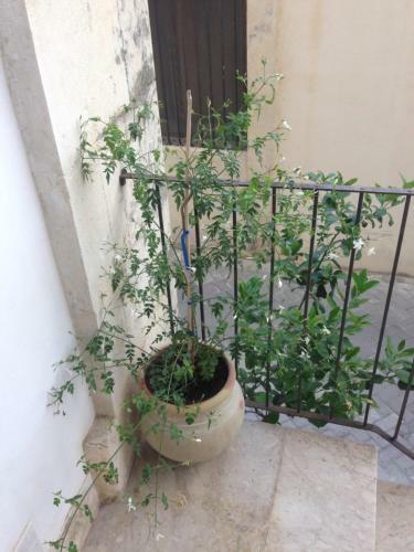 Apartamento Casa San Pietro