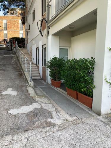 Sogni D'oro A 300 M Dai Sassi