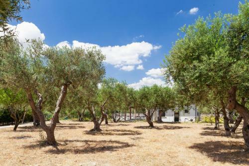 Hostal La Villetta - Xenia
