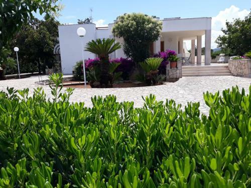 Villa Vista Mare - Con Veranda E Giardino