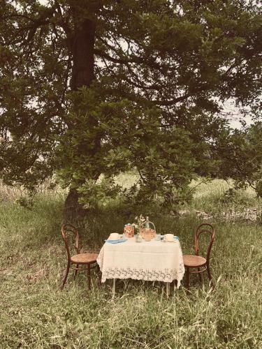Bed & Breakfast Masseria Fenicia