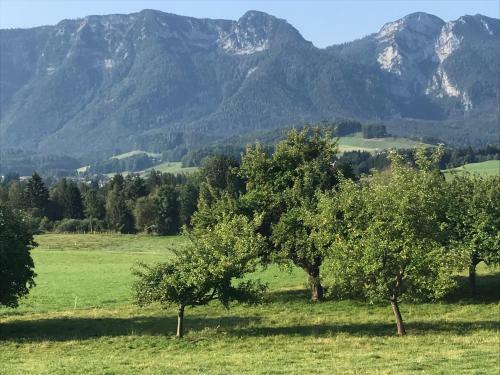 Apartamento Haus Annerl Ferienwohnung Mit 2 Schlafzimmern