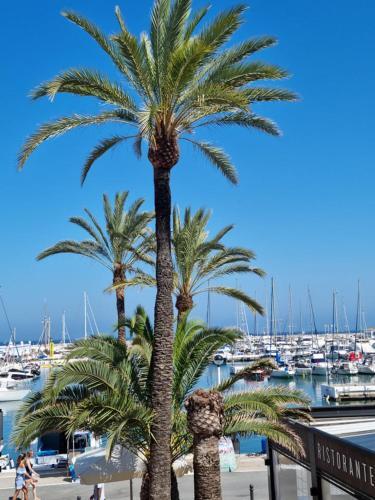 Apartamento Duquesa Village 2338