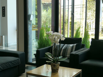 Hotel Txintxua