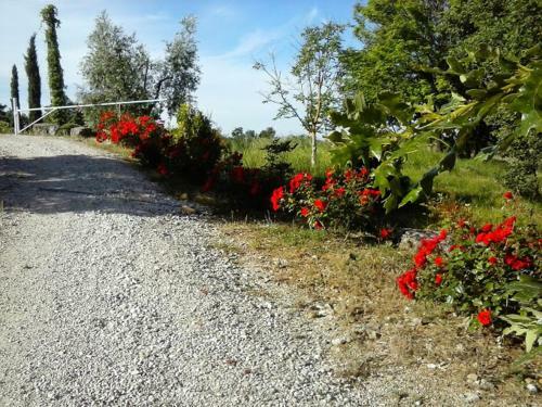 Agroturismo Agriturismo Valiana