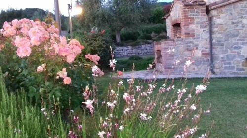 Agroturismo Agriturismo Valiana