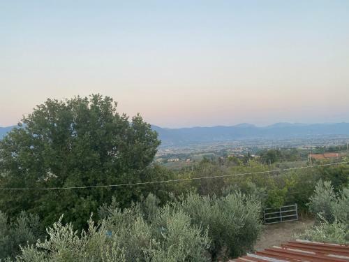 Agroturismo Agriturismo Casa Orsini