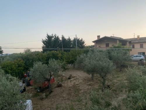 Agroturismo Agriturismo Casa Orsini