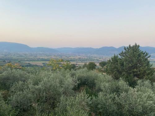 Agroturismo Agriturismo Casa Orsini
