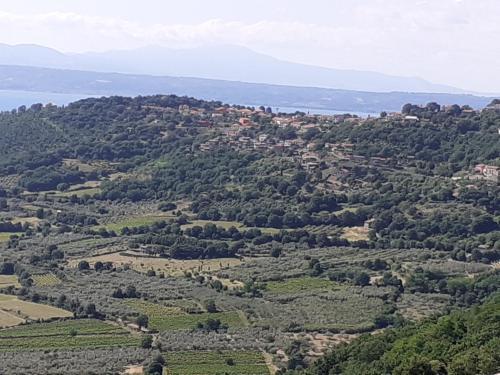 Belvedere