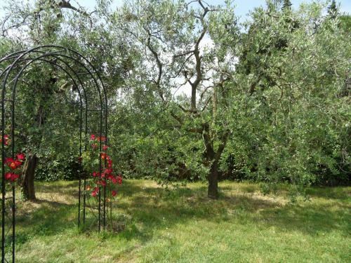 Apartamento Podere San Pierino