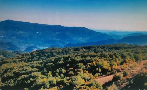 Casa Vacanze Nel Parco Nazionale Della Majella