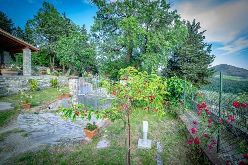 Apartamento Casa Delle Rose