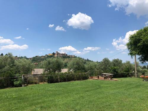 Agroturismo Bioagriturismo Il Saragiolo