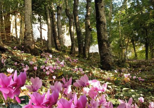Bed & Breakfast La Meridiana House