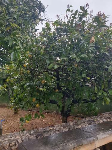 Apartamento Villa Sargheruoli