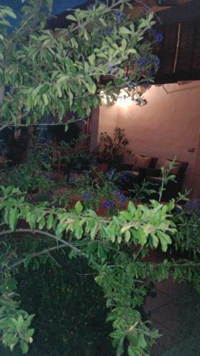 Casa Vacanza - Antico Attico