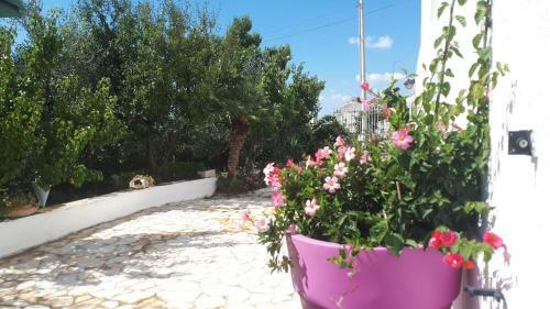 Casa Vacanza Orchidea Vicino A Mattinata Gargano