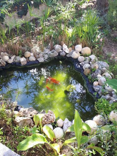 Casa Vacanza Orchidea Vicino A Mattinata Gargano