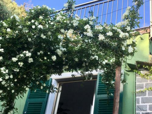 Agroturismo Villa Pietrafiore