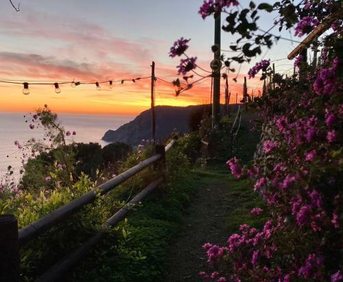 Agroturismo Villa Pietrafiore