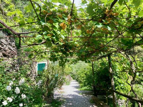 Agroturismo Villa Pietrafiore