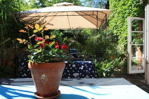 Hostal Haus Buchheim - Pension Am Schloss