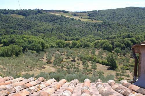Apartamento Sandrine Serpentine - Valleranum